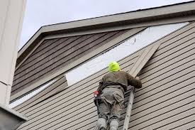 Best Aluminum Siding Installation  in Morrison, IL